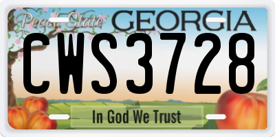 GA license plate CWS3728