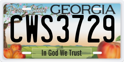 GA license plate CWS3729