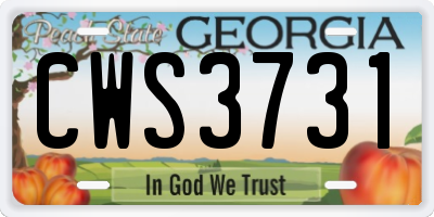 GA license plate CWS3731