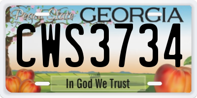 GA license plate CWS3734
