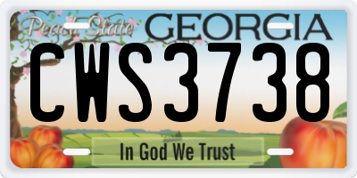GA license plate CWS3738