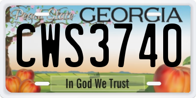 GA license plate CWS3740
