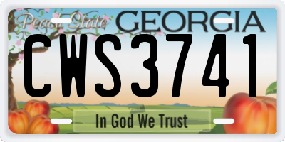 GA license plate CWS3741