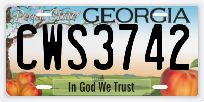 GA license plate CWS3742