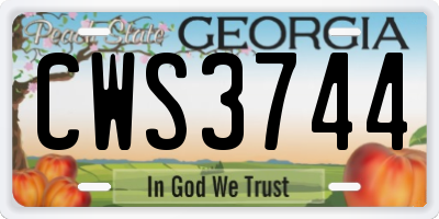 GA license plate CWS3744