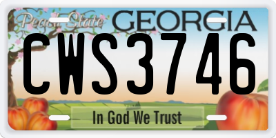 GA license plate CWS3746
