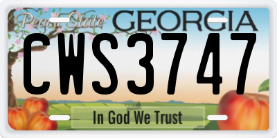 GA license plate CWS3747