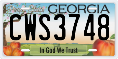 GA license plate CWS3748