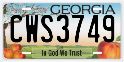 GA license plate CWS3749