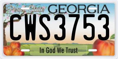 GA license plate CWS3753