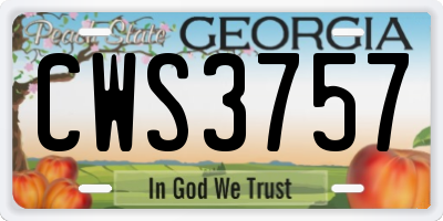 GA license plate CWS3757