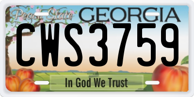 GA license plate CWS3759