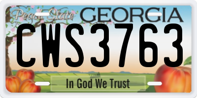 GA license plate CWS3763