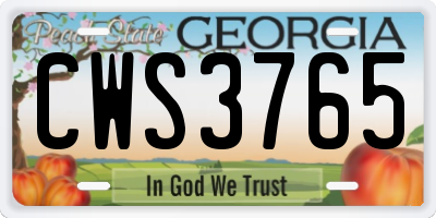 GA license plate CWS3765