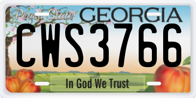 GA license plate CWS3766