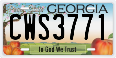 GA license plate CWS3771