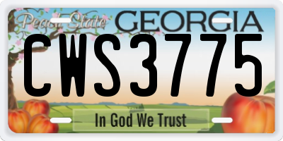 GA license plate CWS3775