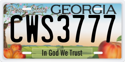 GA license plate CWS3777