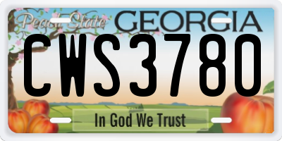GA license plate CWS3780
