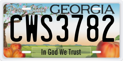 GA license plate CWS3782