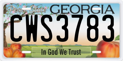 GA license plate CWS3783