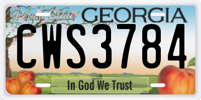 GA license plate CWS3784