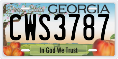 GA license plate CWS3787