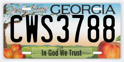 GA license plate CWS3788