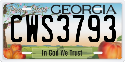 GA license plate CWS3793
