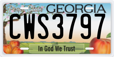 GA license plate CWS3797