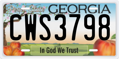 GA license plate CWS3798