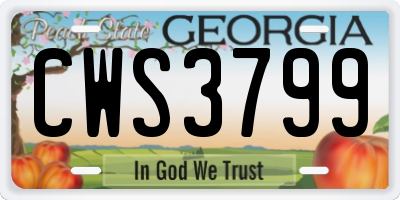 GA license plate CWS3799