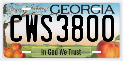 GA license plate CWS3800