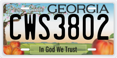 GA license plate CWS3802
