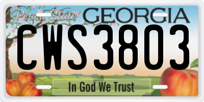 GA license plate CWS3803