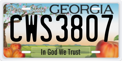 GA license plate CWS3807
