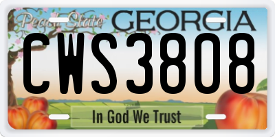 GA license plate CWS3808