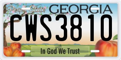 GA license plate CWS3810
