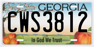 GA license plate CWS3812