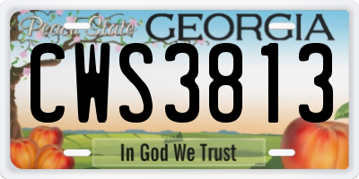 GA license plate CWS3813