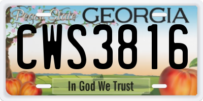 GA license plate CWS3816
