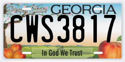 GA license plate CWS3817