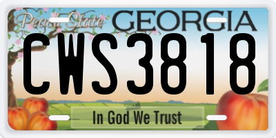 GA license plate CWS3818