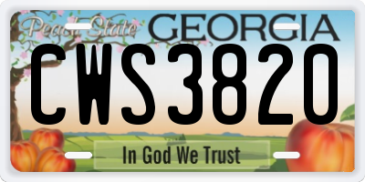 GA license plate CWS3820