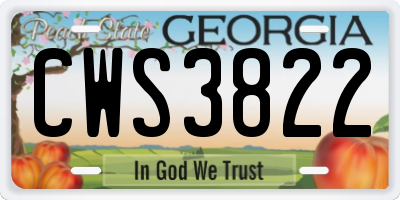 GA license plate CWS3822