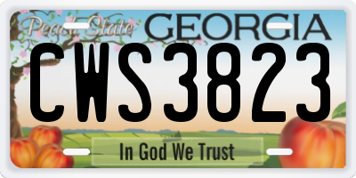 GA license plate CWS3823