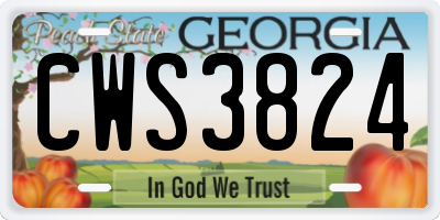 GA license plate CWS3824