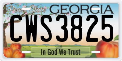GA license plate CWS3825