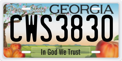 GA license plate CWS3830