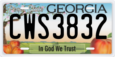 GA license plate CWS3832